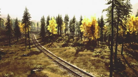 Vintage styled image showcasing serene autumnal train route in Alaska Stock Footage 342431421