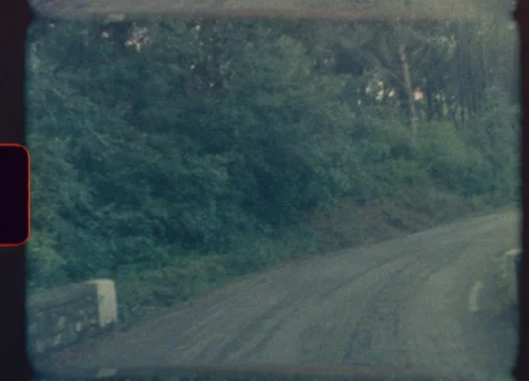 Vintage super 8 drive through lush forest road at golden hour Stock Footage 319874678