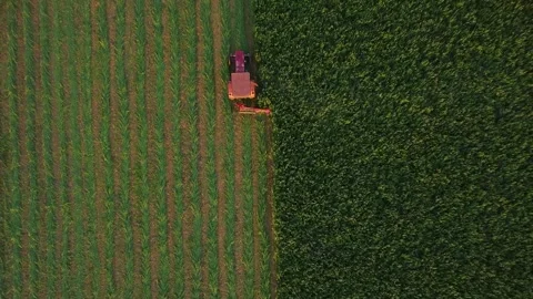 Vintage Tractor still operating Stock Footage 246810343