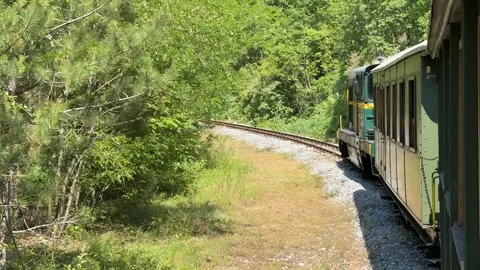 Vintage Train Journey Stock Footage 313364339