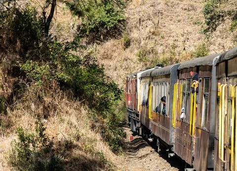 Vintage train passing through hillside tunnel with forest landscape view 写真素材