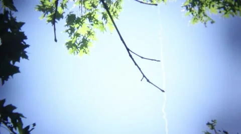 Vintage trees Stock Footage 41212751