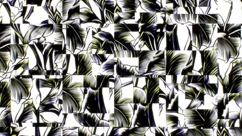 Vintage Tropical Botanical Loop – Motion Animation Stock Footage 306400969