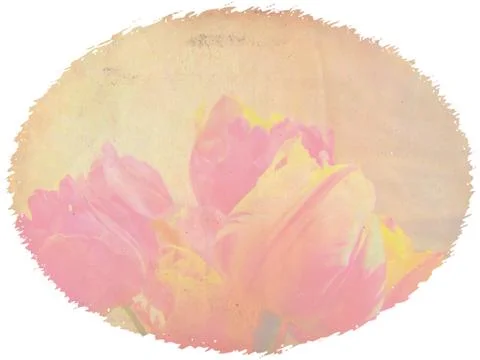 Vintage tulips Illustrazione stock