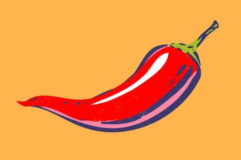 Vintage vector chilli pepper in hand drawing style. Spicy red chilli pepper. Stock Illustration