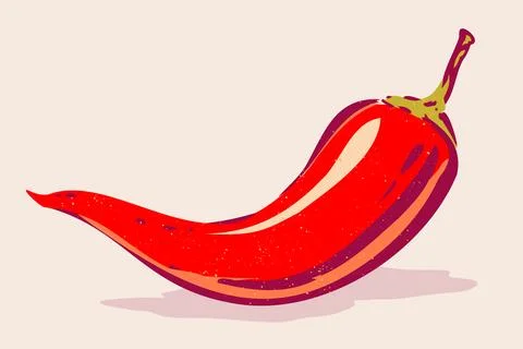 Vintage vector chilli pepper in hand drawing style. Spicy red chilli pepper. Illustrazione stock
