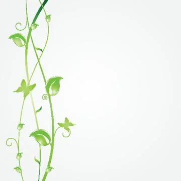 Vintage vector frame on floral background Stock Illustration