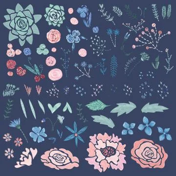 Vintage Vector Nature Design Elements 库存插图