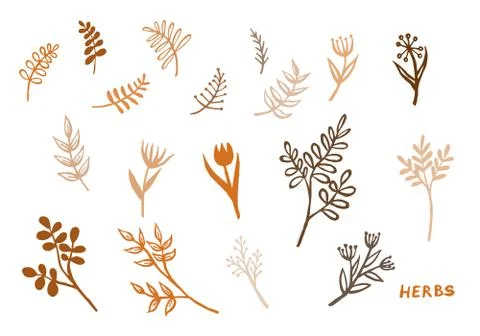 Vintage vector set of hand drawn tree branches with leaves and flowers. Sprin Stock Illustration