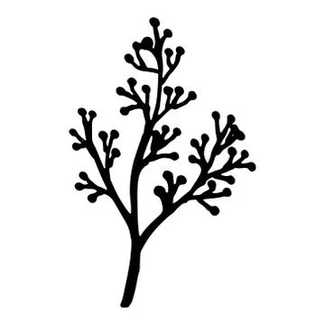 Vintage vector set of hand drawn tree branches with leaves and flowers. Sprin Stock Illustration