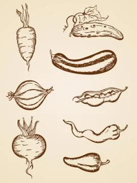 Vintage vegetables set Stock Illustration
