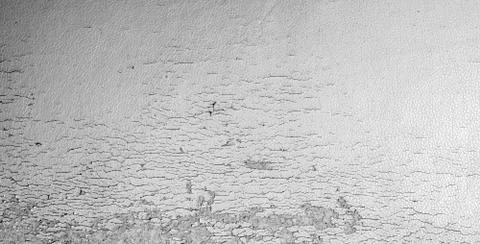 Vintage wall texture background Фото