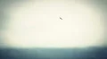 Vintage war-plane in sky, color corrected HD Footage