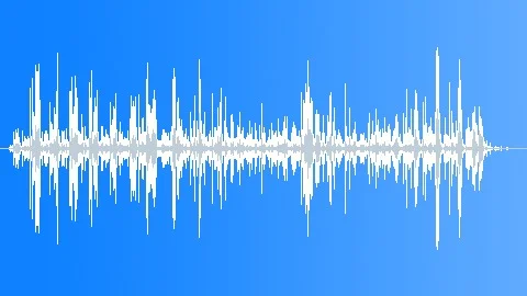 squeaking water pump