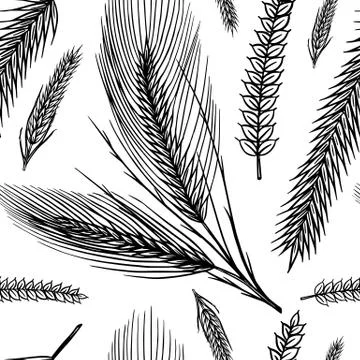 Vintage wheat seamless pattern. Rye background. Corn or Cereal for Bakery poster イラスト素材