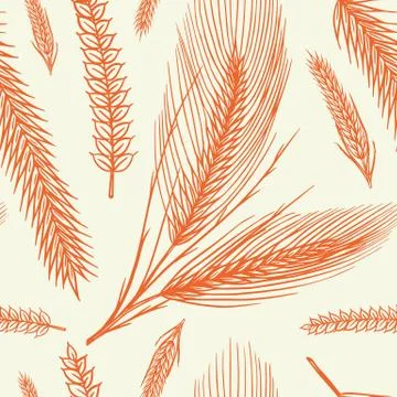 Vintage wheat seamless pattern. Rye background. Corn or Cereal for Bakery poster Illustrazione stock