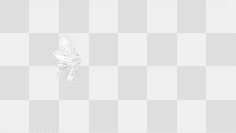 Vintage white chalk frame animation Vidéo 333589181