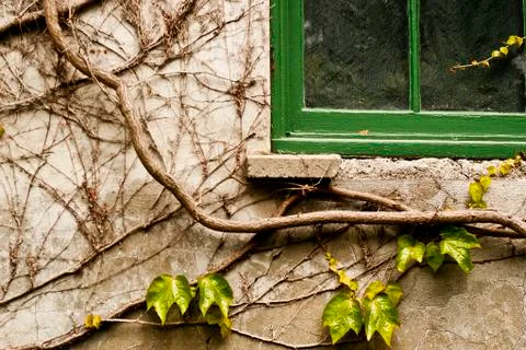 Vintage Window Stock Photos