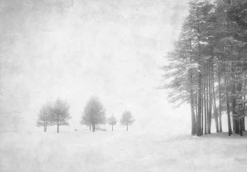 Vintage winter Stock Photos