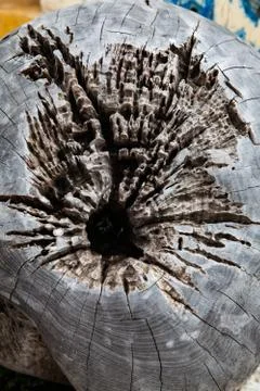 Vintage wood texture as background. Stock Photos