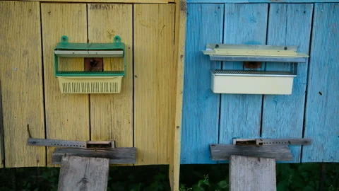 Vintage wooden beehive boxes next to the garden Stock Footage 158792353