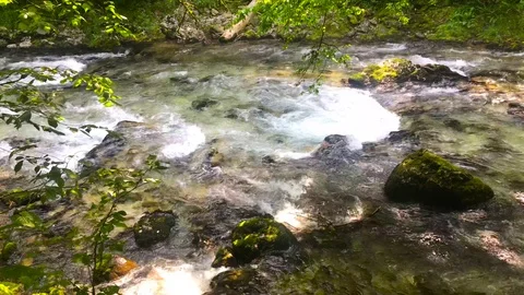 Vintgar Gorge Stock Footage 112030558