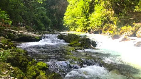 The Vintgar Gorge Stock Footage 112031066