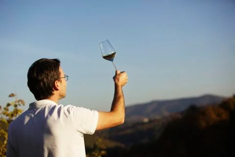Vintner checking wine. Foto stock