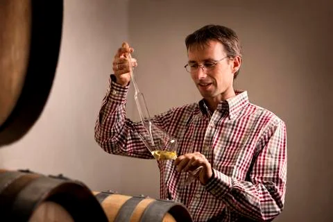 Vintner taking sample of white wine in cellar. Stock Photos