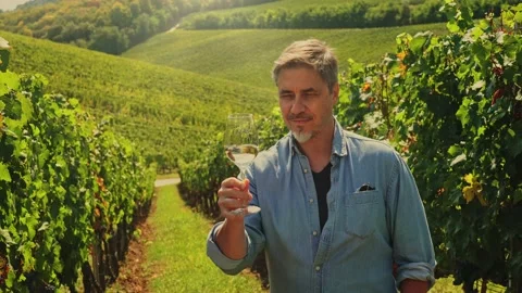 Vintner tasting wine in vineyard during vintage 库存影片 162682990