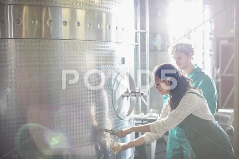 Vintners barrel tasting white wine from stainless steel vat in sunny cellar Stock Photos