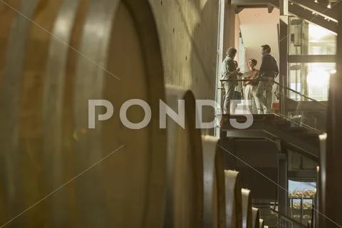 Vintners talking on platform in winery cellar Stock Photos