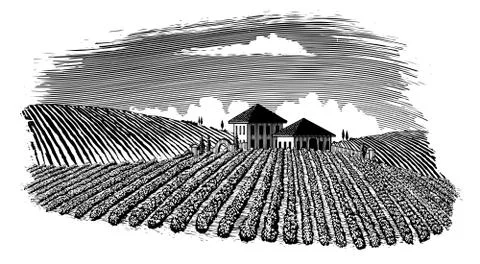 Vinyard Logo original Stock Illustration