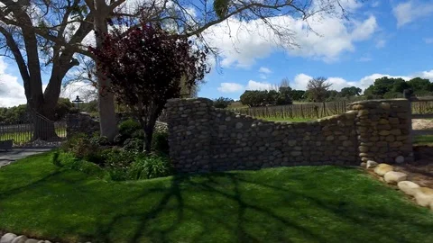 Vinyard Santa Ynez 库存影片 116148684