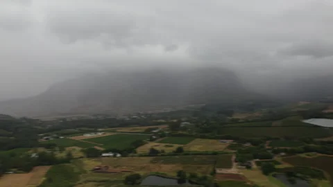 Vinyard Stellenbosch Stock Footage 314286597