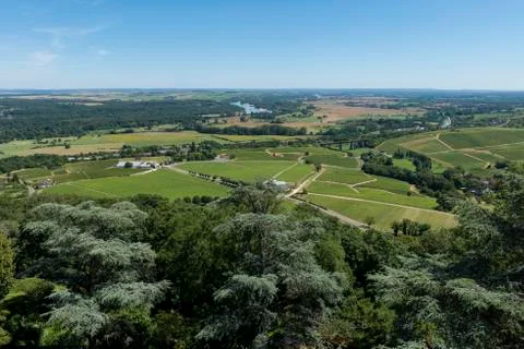 Vinyards of sancerre view Stock Photos