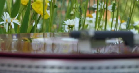 Vinyl. A vinyl record player with a rotating record stands in the garden Stock-Footage 133023690