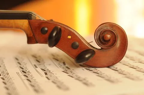 Viola head Stock Photos