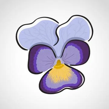 Viola (heartsease) flower Stock Illustration