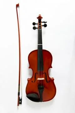 Viola Stock-Fotos