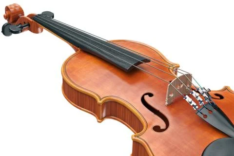 Viola stringed equipment, close view Illustrazione stock