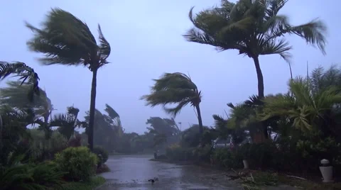 Violent Hurricane Eyewall Winds Lash Town Stock Footage 50870932