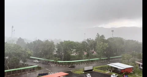 The violent rainstorm raged, causing the large trees to sway and sway. Stock Footage 223379275