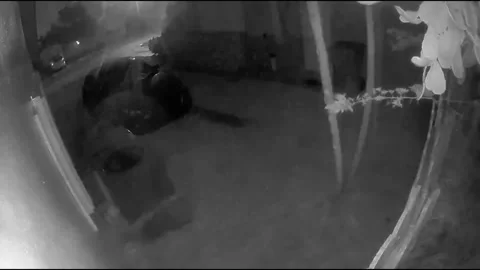 Violent storm caught on security camera Video stock 172336122