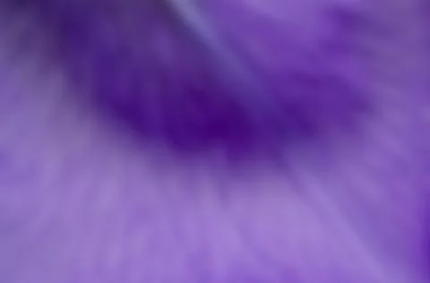 Violet abstract blured background for your text Stock Photos
