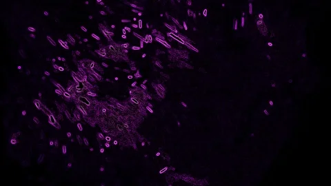Violet abstraction on a black background 库存影片 125701487