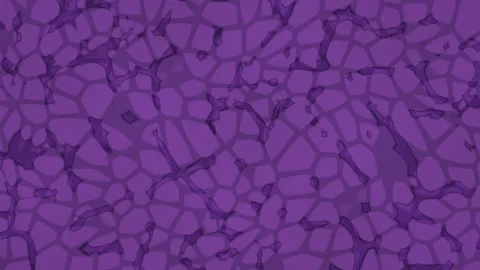 Violet and magenta pattern flows through cellular shapes Stock Footage 330059953