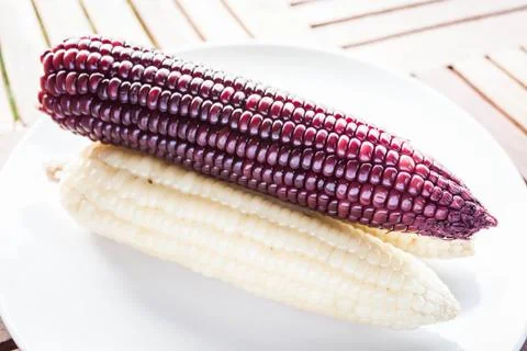 Violet and yellow corn cobs boiled on the plate Stock Photos