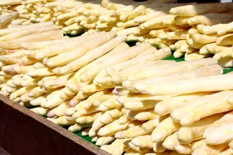 Violet asparagus on the stall Stock Photos