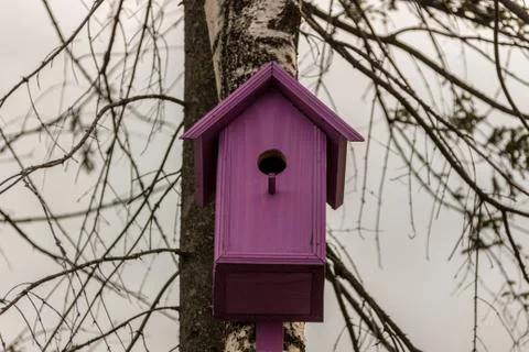 Violet birdhouse on the tree Stock Photos